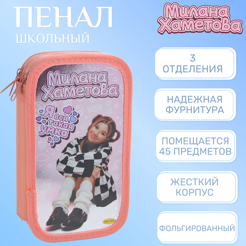 Пенал 3 отделения большой 190*105мм Милана Хаметова 