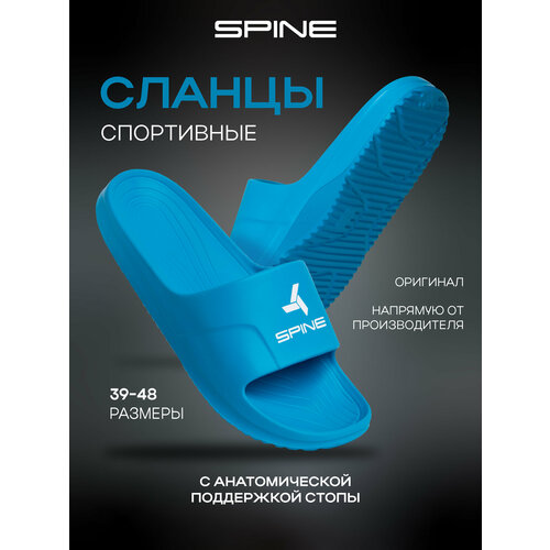 фото Шлепанцы spine, размер 47-48, голубой