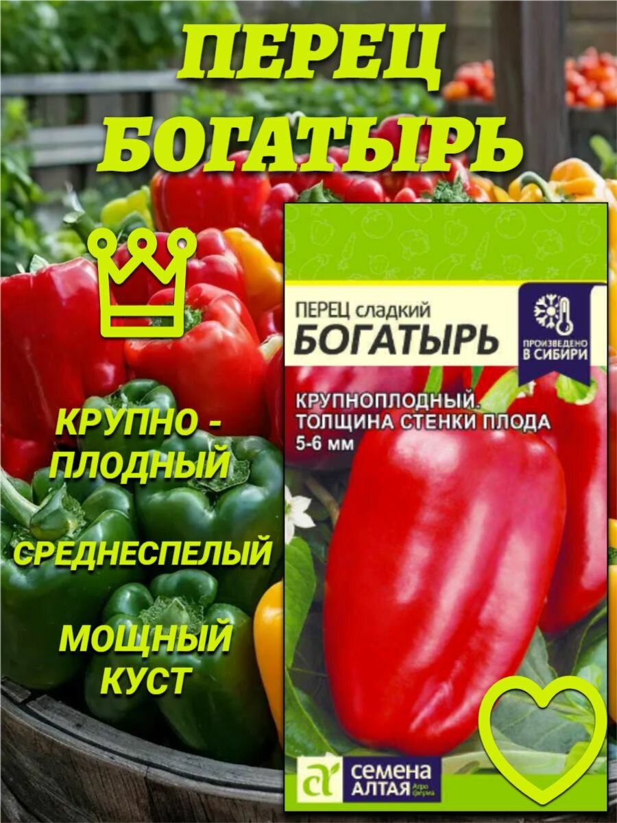 Перец Богатырь (01гр). Толщина стенки плода 5-6 мм. Семена Алтая