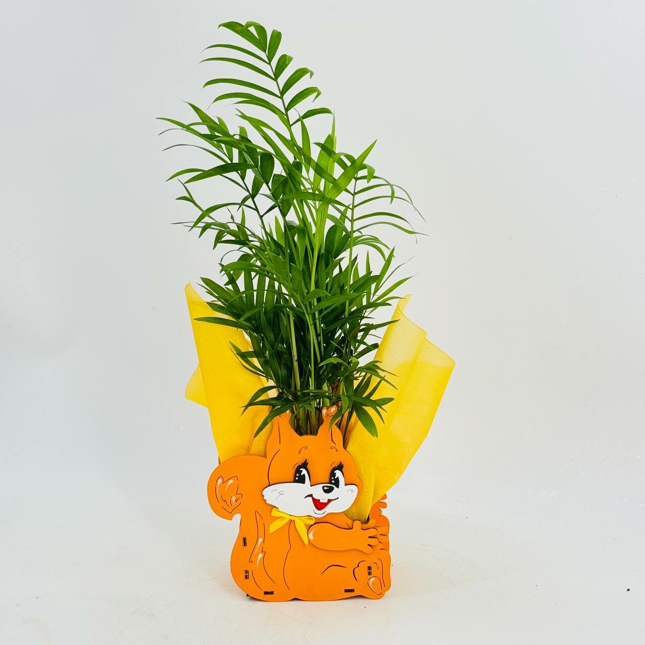 Комнатное растение хамедорея в фигурном кашпо белочка. Декор для дома