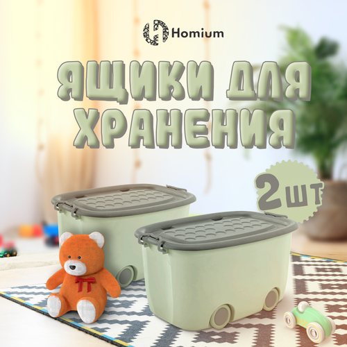 Набор ящиков для хранения на колесах Homium большой, 2шт (зеленый с серым)