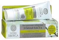 Зубная паста Natura Siberica 7 северных трав 100 г