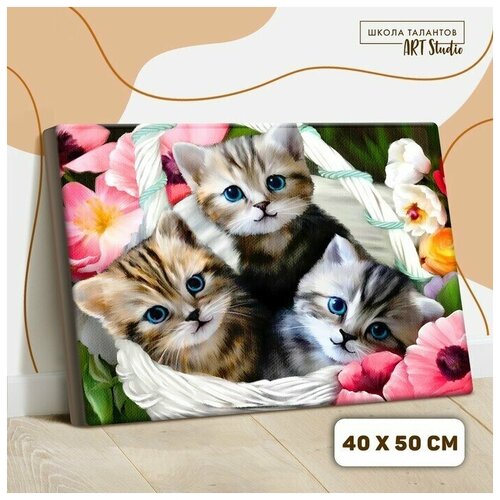 Картина по номерам на холсте с подрамником Котята 40х50 см картина по номерам на холсте котята в корзинке 30x40 см ex5283