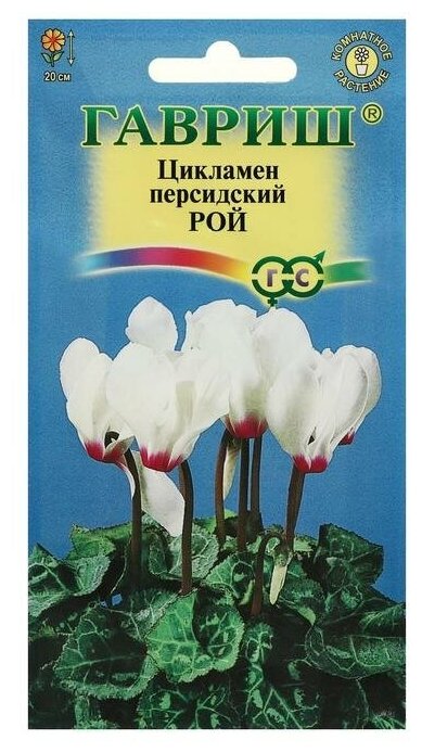 Гавриш Семена цветов Цикламен "Рой", персидский, 3 шт.