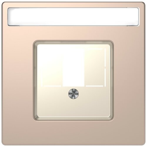 Merten D-Life центральная накладка для TAE/Audio/USB, шампань