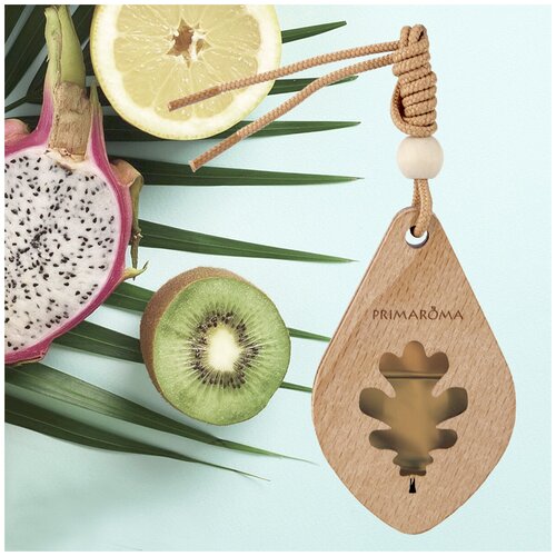 Ароматизатор подвесной мембранный кулон 