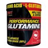 Аминокислота S.A.N. Performance Glutamine - изображение