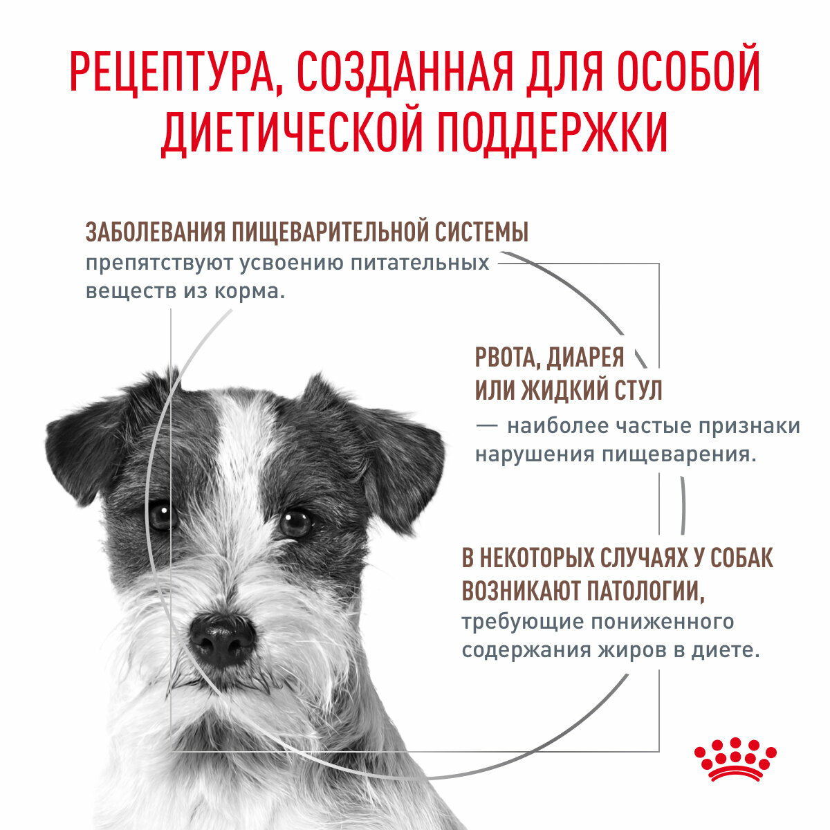 Royal Canin Gastrointestinal Low Fat Small Dog сухой корм для взрослых собак мелких пород при нарушениях пищеварения (3 кг) - фото №3