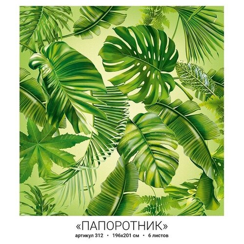 Фотообои Папоротник 196201 Тула 860₽