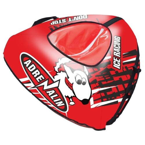 фото Тюбинг rt собака