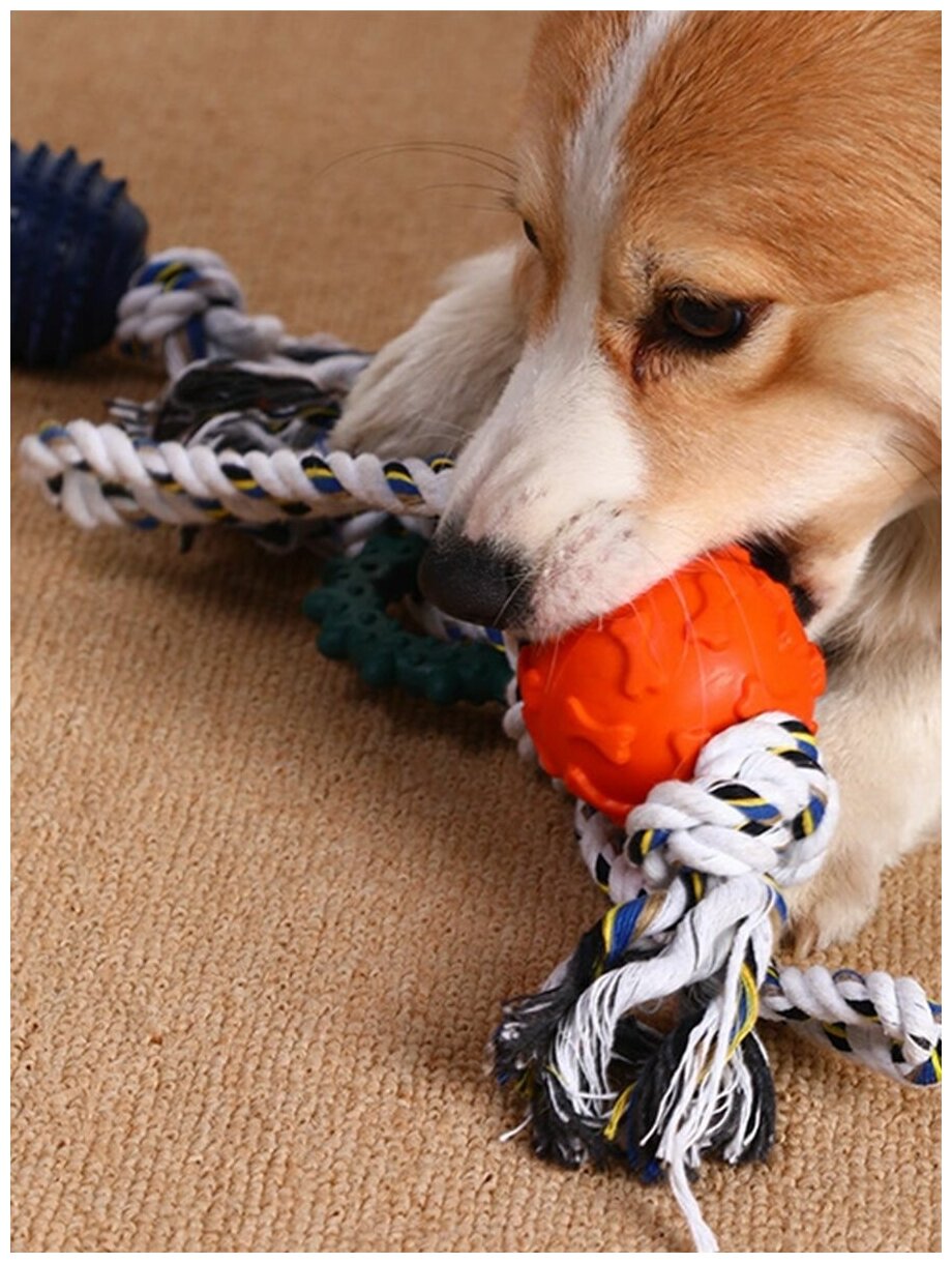 Игрушки для собаки с канатом - фотография № 3