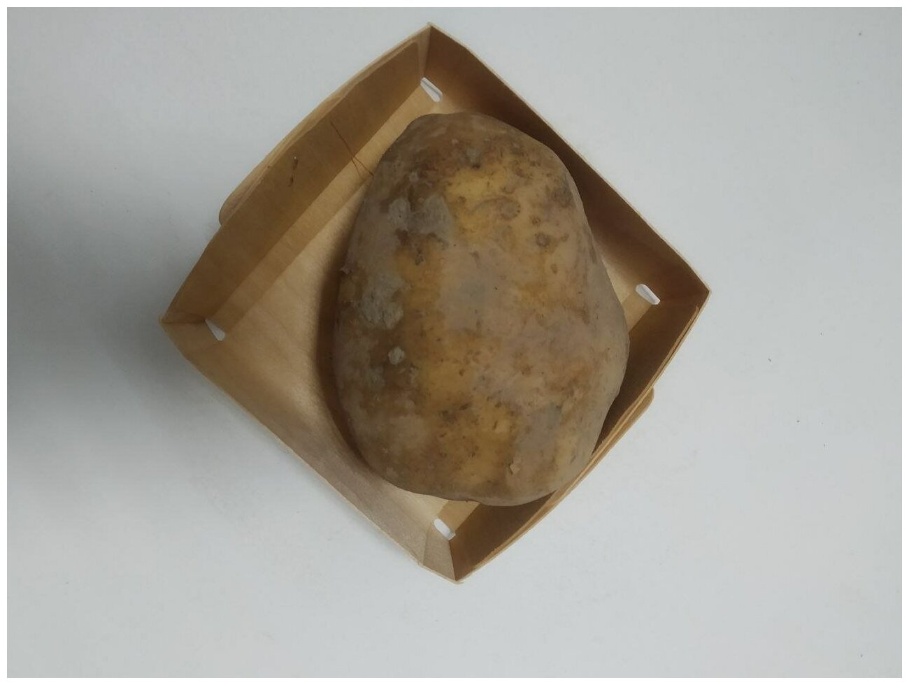 Картофель семенной сынок клубни 5 кг - фотография № 4