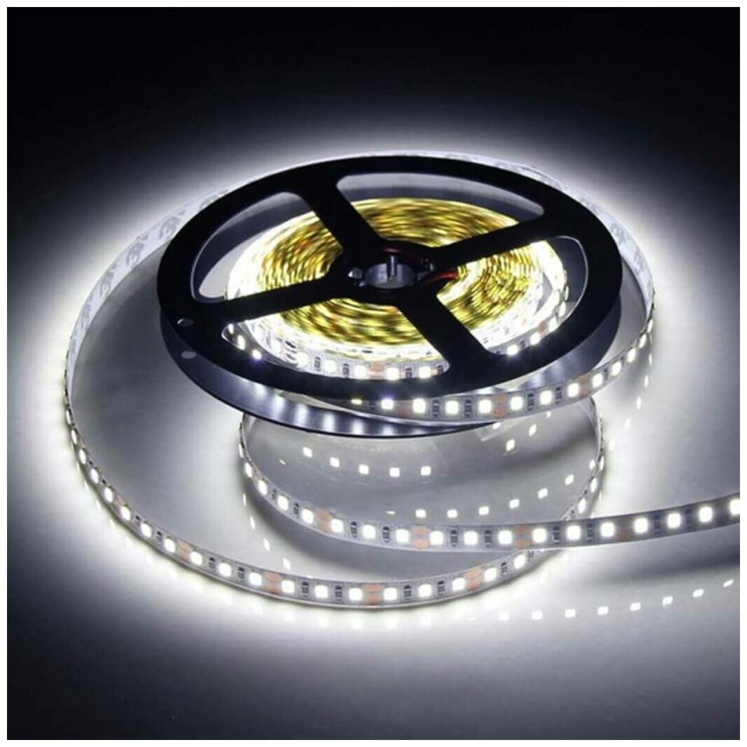 Ecola Лента светодиодн. 24V 14.4W/m 60Led/m IP20 6000K 5м 840Lm/m 6K (интер) STD SMD5050 S2DD14ESB (арт. 524191) — фото 1