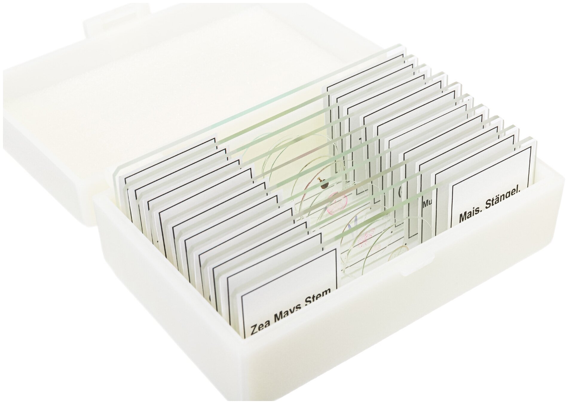 Набор микропрепаратов Bresser 10 шт, в кейсе — фото 1