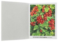 Набор карточек Рыжий кот Грибы и ягоды 16.5x21.5 см 12 шт.