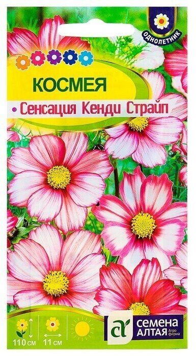 Семена цветов Космея 'Сенсация' Кенди Страйп О цп 05 г