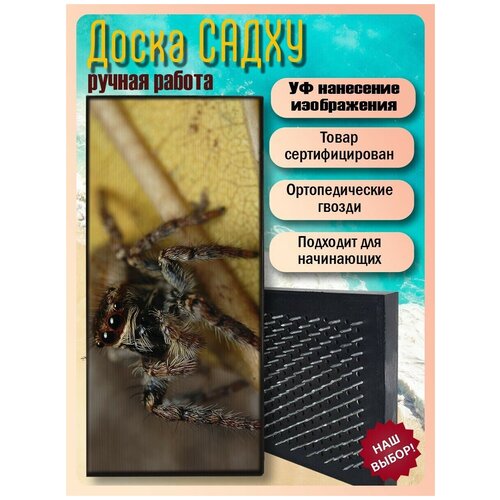 фото Доска садху для йоги с гвоздями, уф печать животные звери паук - 3112 шаг 10мм woodart