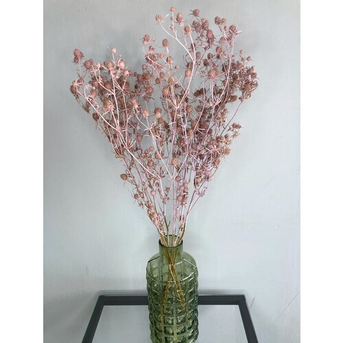 Эрингиум (сухоцвет) нежно-розовый/Сухоцветы для флористов, для декора, для творчества.