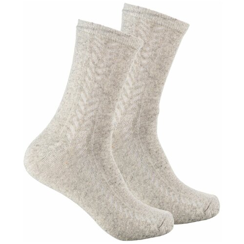 Мужские носки Весёлый носочник, 5 пар, классические, размер 41-47, бежевый
