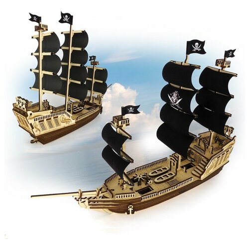 Парусный корабль «Черная Жемчужина», Альтаир черная н пираты