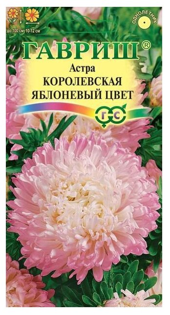 Астра Королевская Яблоневый цвет пионовидная 0,3г Одн 100см (Гавриш)