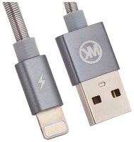 Кабель WK Kingkong USB - Apple Lightning (WDC-013) 1 м серебряный