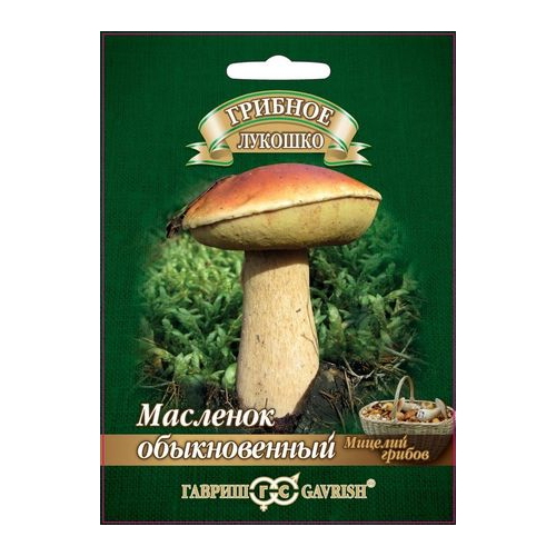 Мицелий грибов Гавриш Грибное лукошко Масленок на зерновом субстрате 15 мл семена мицелий грибов масленок