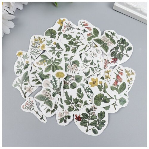 Наклейки для творчества Полевые цветы набор 46 шт 44х44х11 см 176₽