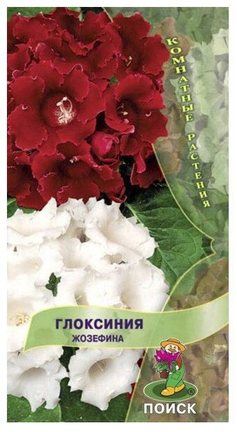 Семена Глоксиния Жозефина 5шт Комн (Поиск)