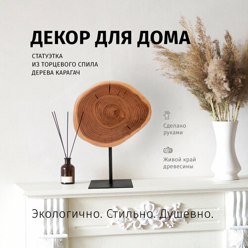 фото Статуэтка интерьерная choodwood, массив дерева, диаметр 25см, чёрная матовая подставка