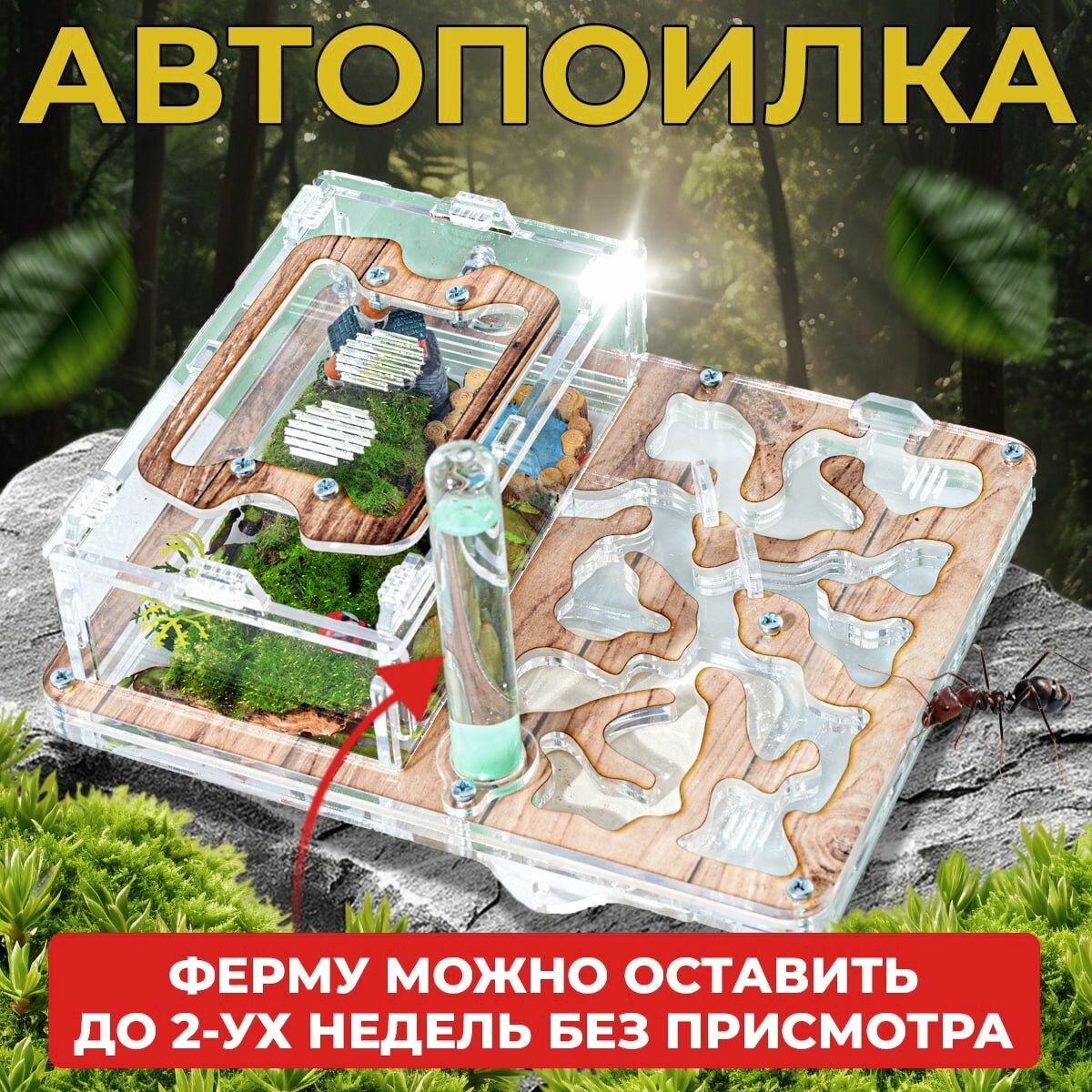 Муравьиная ферма "Древесная" ВСЕ включено Стандарт / Формикарий для муравьев — фото 1