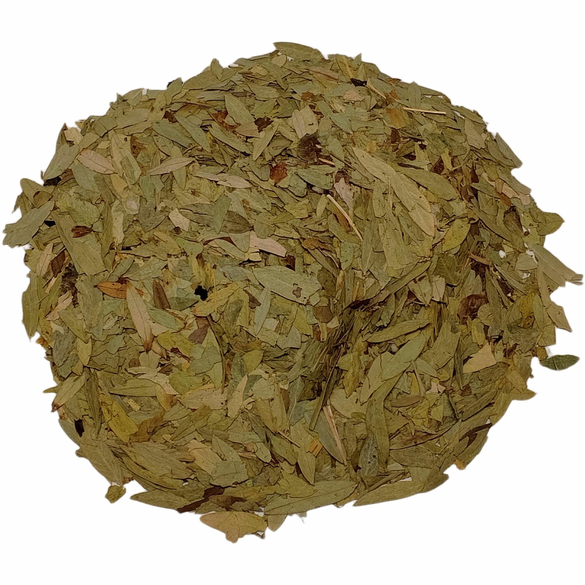 Сенна  александрийский  лист 