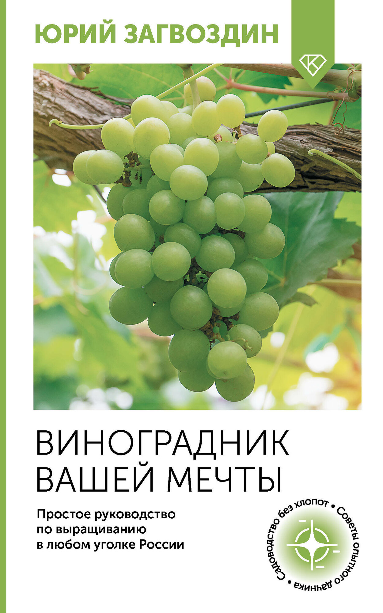 Виноградник вашей мечты. Простое руководство по выращиванию в любом уголке России - фото №1