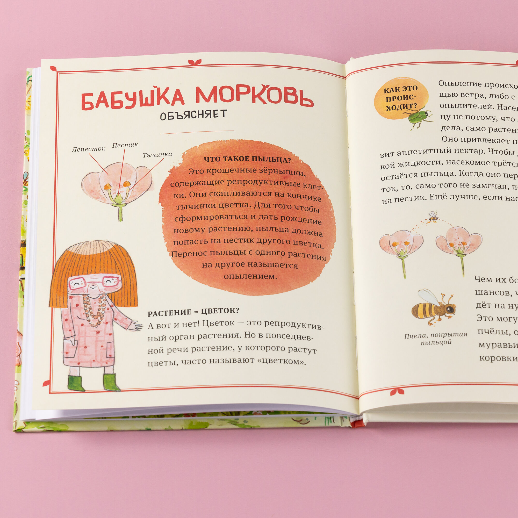 В саду Базилика. Умеют ли растения любить? - фото №6