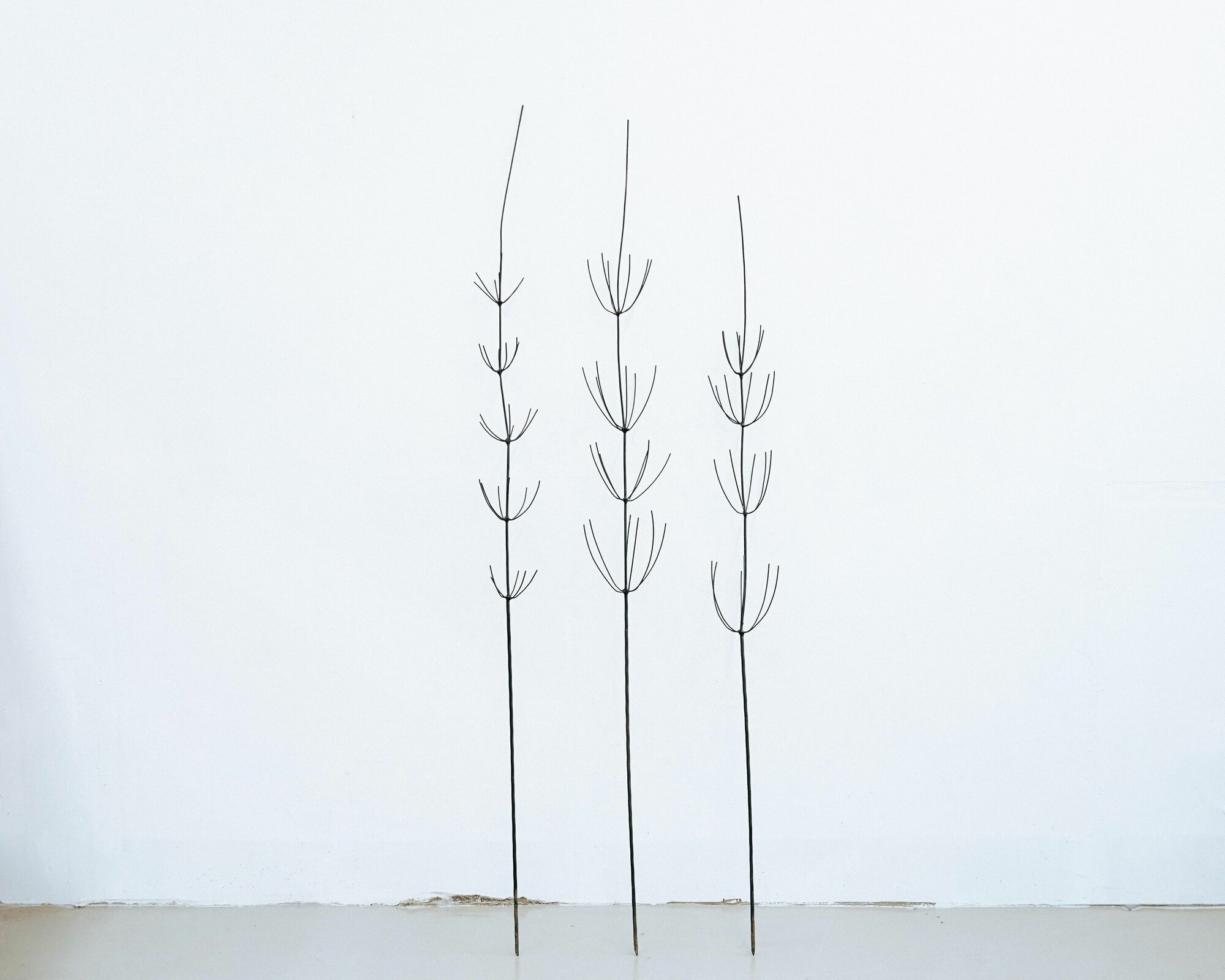 Стик для сада  Хвощ   архитектурное совершенство  20 x 150 см