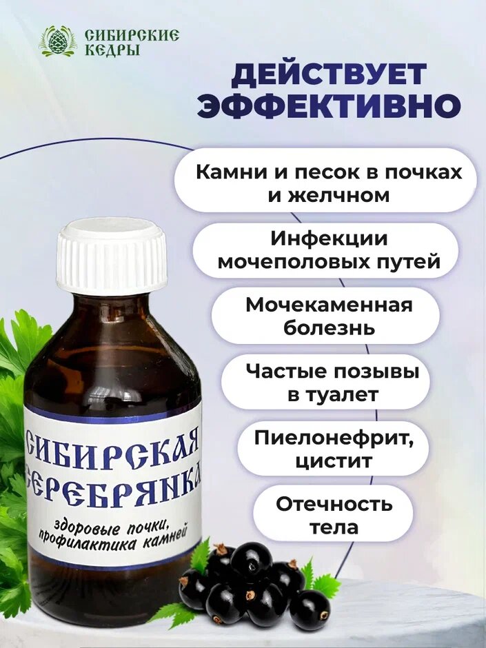 Картинки Бальзам Сибирская серебрянка, при заболеваниях почек и мочевого пузыря для растворения камней в почках, от цистита 50 мл