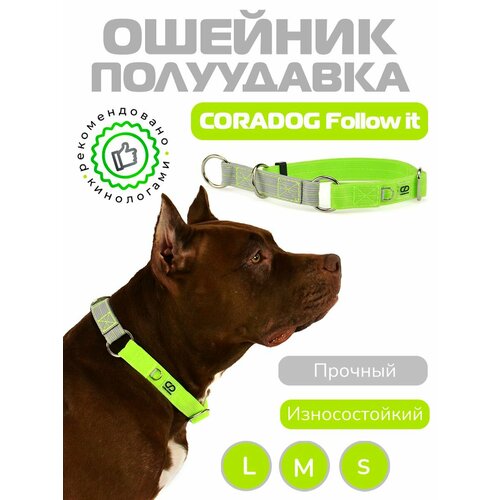 Ошейник-полуудавка, мартингейл, CORADOG Follow it, для маленьких и средних собак, серый, салатовый, размер S 27-38 см, ширина 2см