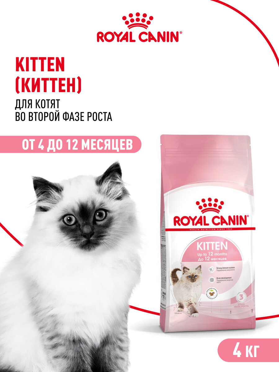 Сухой корм для котят Royal Canin Kitten до 12 месяцев , 4 кг — фото 1