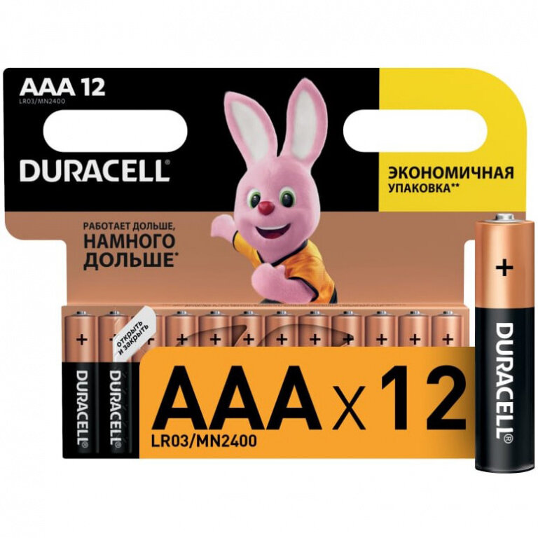 Комплект батареек Duracell Basic LR03-2BL AAA, 12 шт