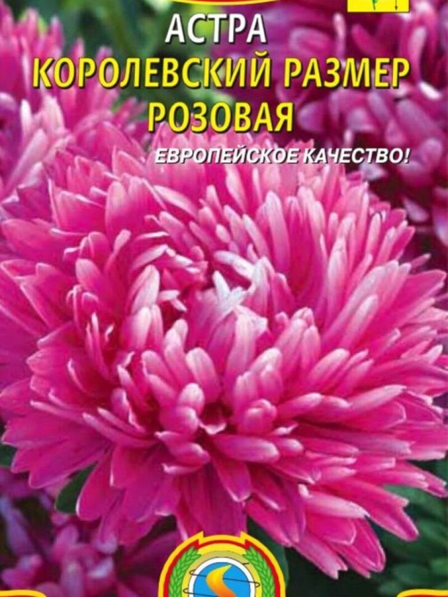 Семена Астра Королевский размер розовая 01 гр Плазменные семена