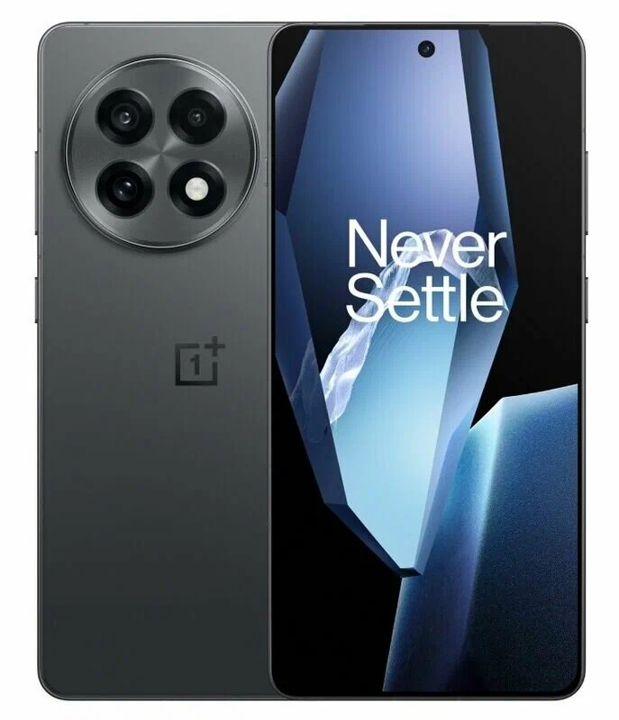 Смартфон OnePlus Ace Pro 5G 12/256Gb (GIobal) Sierra Black (Черный)