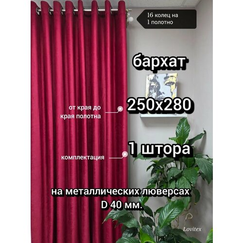 фото Бархат для спальни и гостиной размером: ширина 250 см. высота 280 см. lovitex