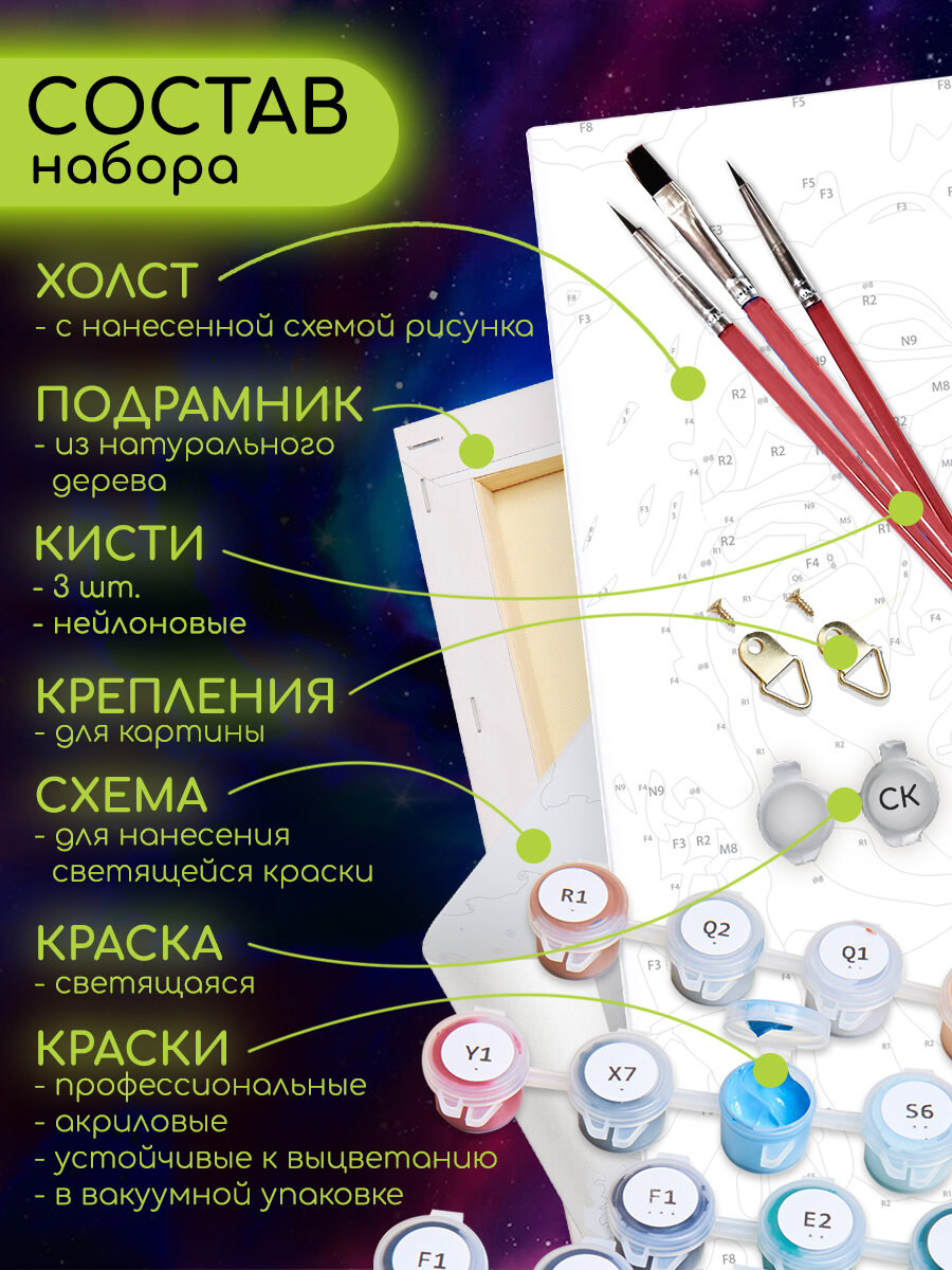 Картина по номерам с LED подсветкой и светящейся краской (40х50) неоновые грибы (18 цветов) — фото 1