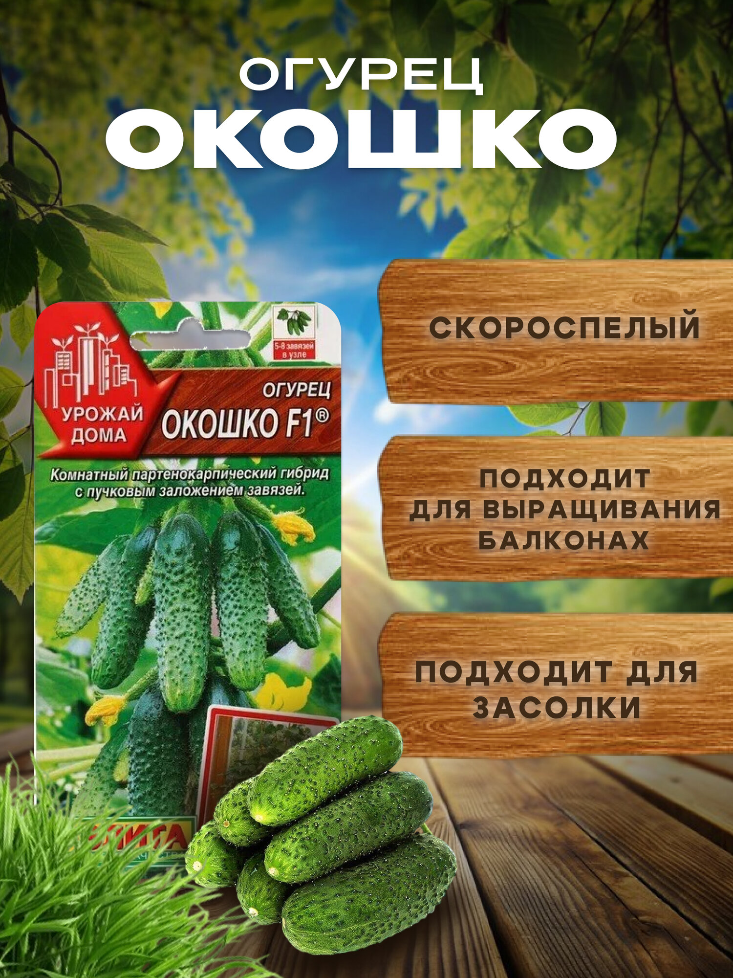 Семена балконных огурцов Окошко огурцы для балкона и подоконника самоопыляемые.