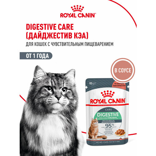 Влажный корм для кошек Royal Canin Digestive Care кусочки в соусе при чувствительном пищеварении, 28 шт по 85 г