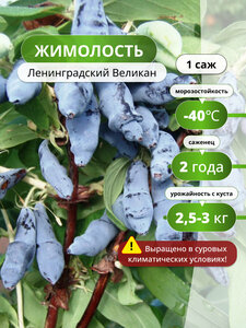 Основная фотография от вендора