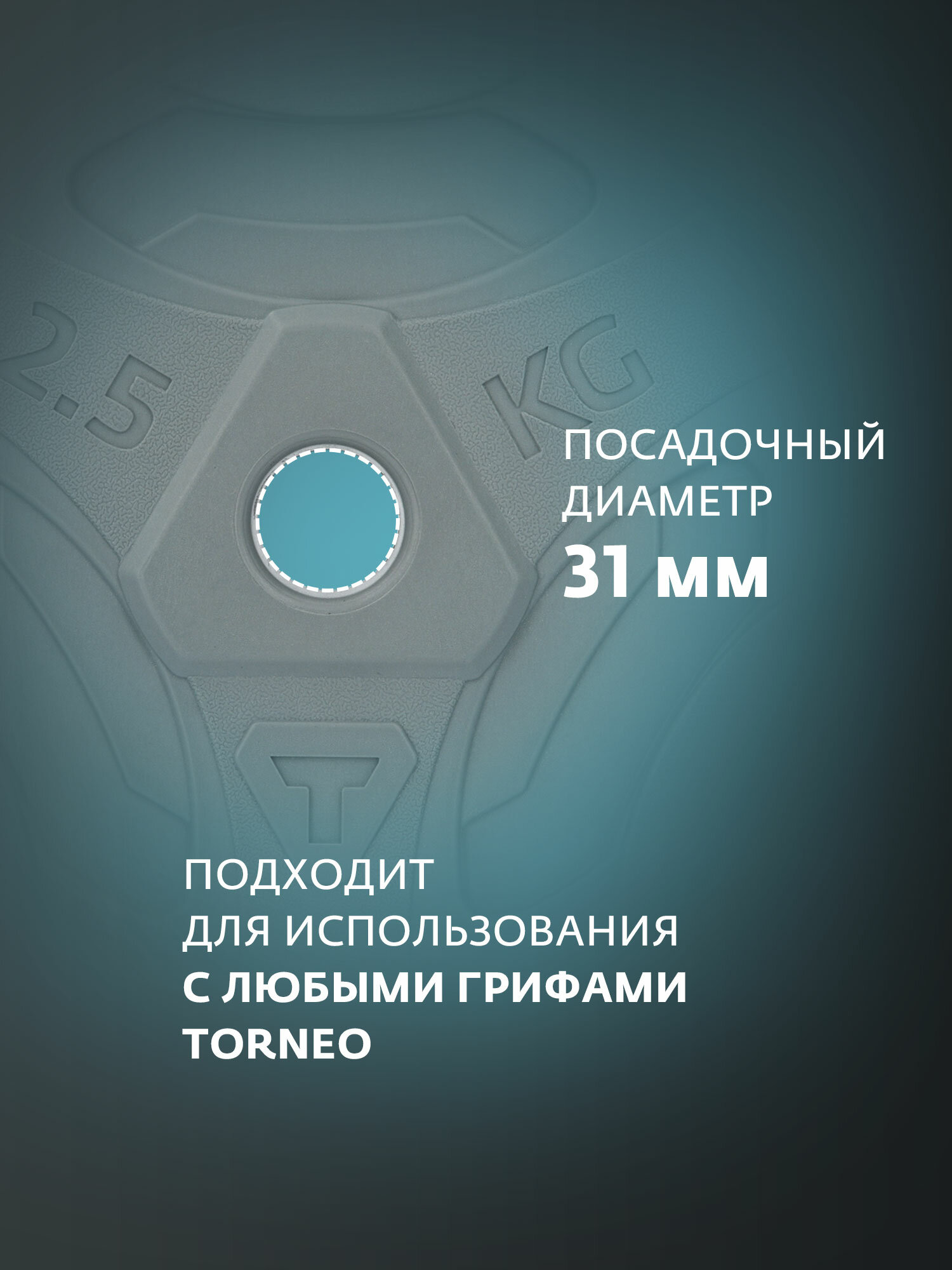 Диск 2.5 кг в корпусе из ПВХ Torneo — фото 1