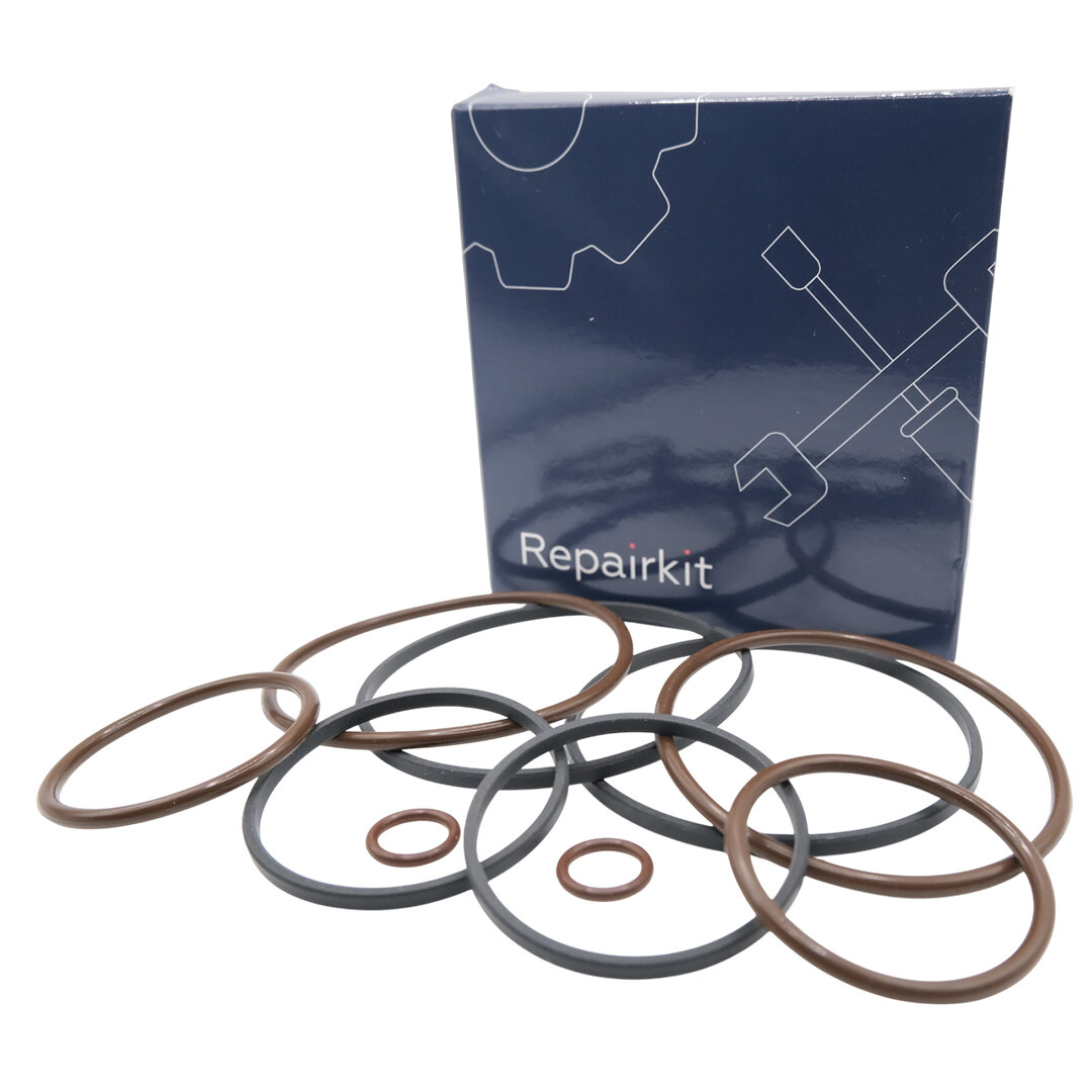 Ремкомплект Vanos (Double Vanos) BMW M52TU, M54, M56 11361440142