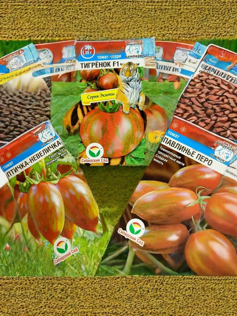 Набор семян экзотических томатов 3 вида : Тигренок Птичка-Невеличка Павлинье перо по 1 пакету Агрофирма Сибирский Сад