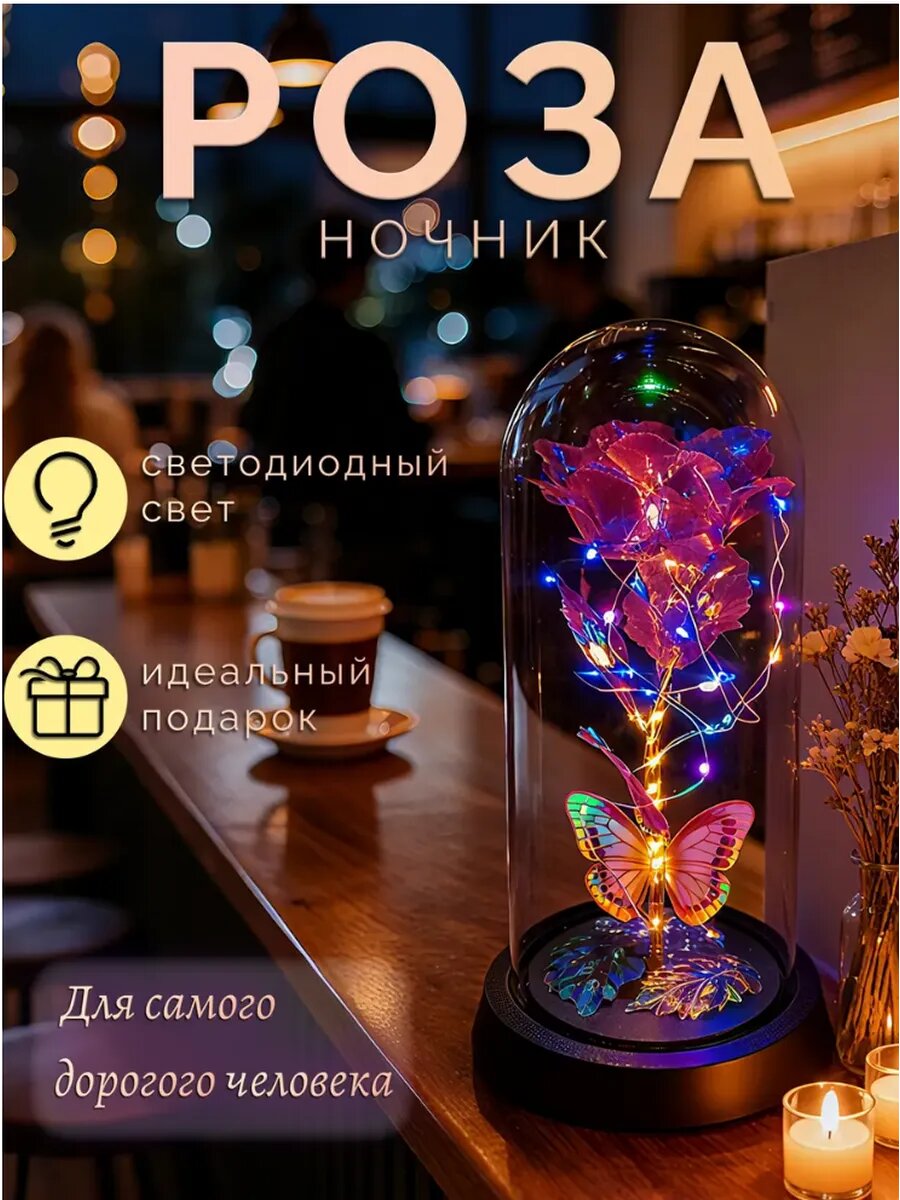 Роза-ночник 